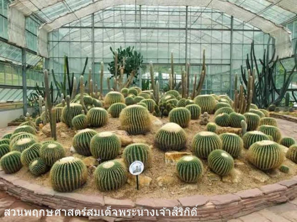 The Greenery Central Suite & Hotel เชียงใหม่ ภายนอก รูปภาพ